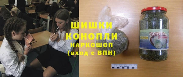 PSILOCYBIN Новокубанск