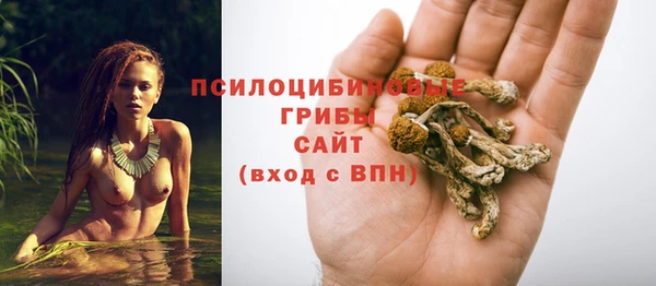 PSILOCYBIN Новокубанск