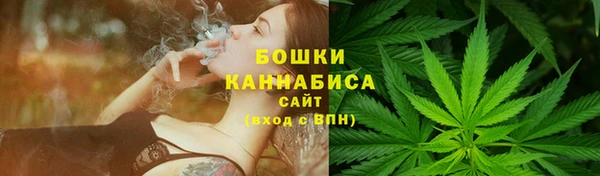 амф Новозыбков