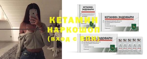 амф Новозыбков
