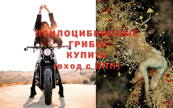 мдпв Новодвинск