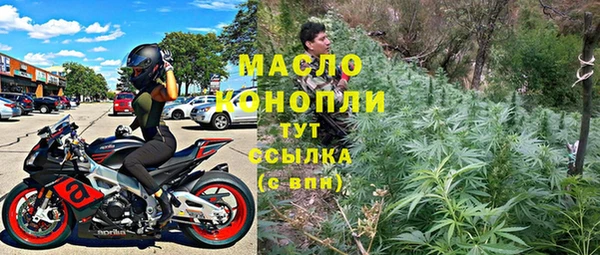 амф Новозыбков