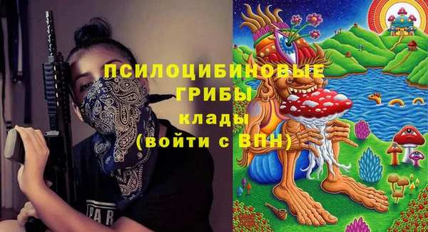 мдпв Новодвинск