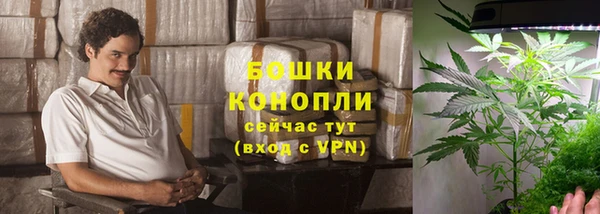 мдпв Новодвинск