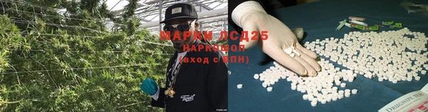 амф Новозыбков
